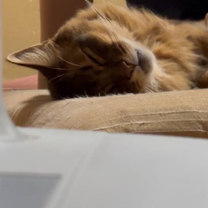 B8eb641d 637b 41e3 9d01 29ab4953caeb 1760140118595