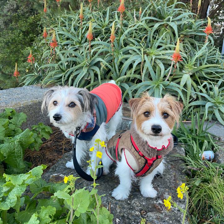 B8eb7967 eabc 4adc 8237 8521e654f2b7 1766994189241