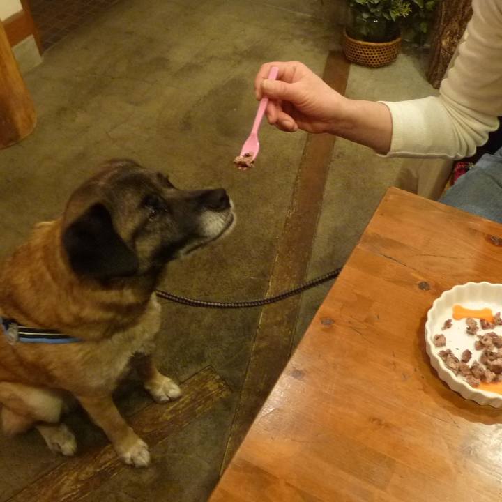 B8eb7da3 c3ed 48c4 9fe1 7240c05dde55 1577757267382