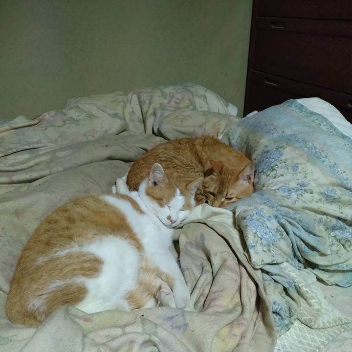 B8eb8016 4a20 4138 a949 e2e9ca6a6468 1772277905832