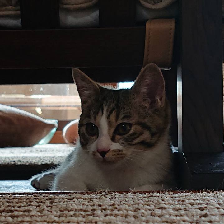 B8ebd23d af1f 4a23 a90d b38bde761394 1546392273998