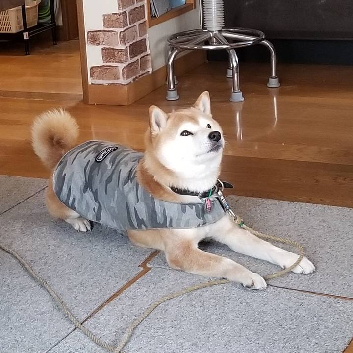 B8ec1458 58b3 442a 90f1 1139e06b4396 1614990015487