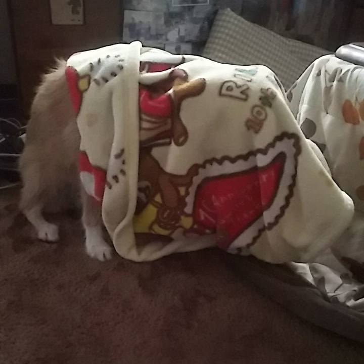 B8ec14a6 0045 42f0 8512 5baddb1b4afc 1513124820532