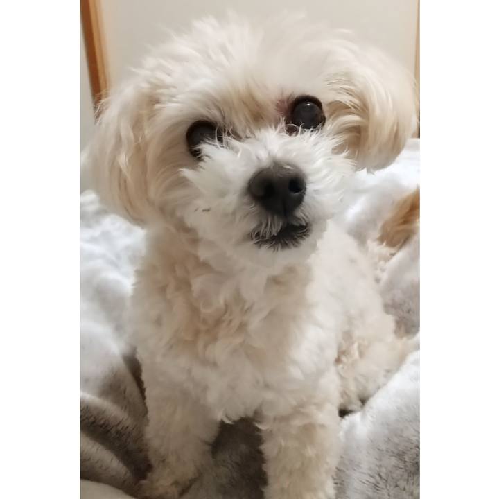 B8ec4089 a124 47bd 910f 160a6c2cecb8 1649673381329