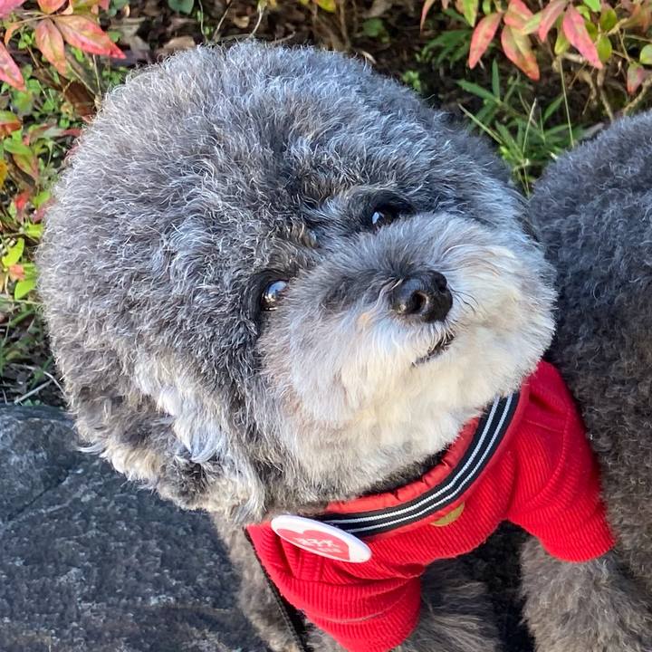 B8eca6ae 278a 4d1a 918a 77e0c83a8850 1634729243320