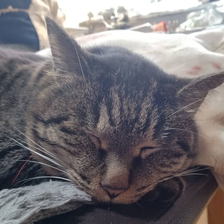 B8ecc357 3451 43ab 954e 45336c2f6d44 1672627054041