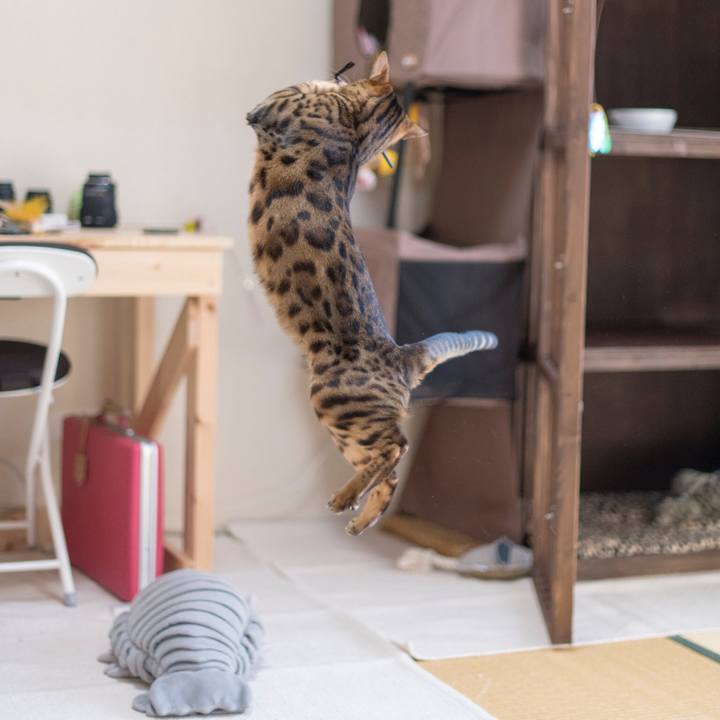 B8ecc380 abb3 46b8 9dc4 2a9d69d7d5b1 1521387269622