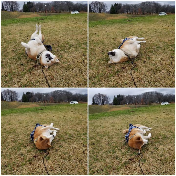 B8ecd255 c795 4355 b5ee 57afd846123a 1669869665029