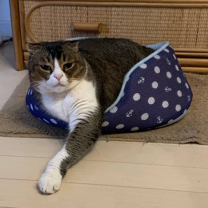 B8ecd3d3 fe02 45ae 9acd 7750e2853f70 1618533681606