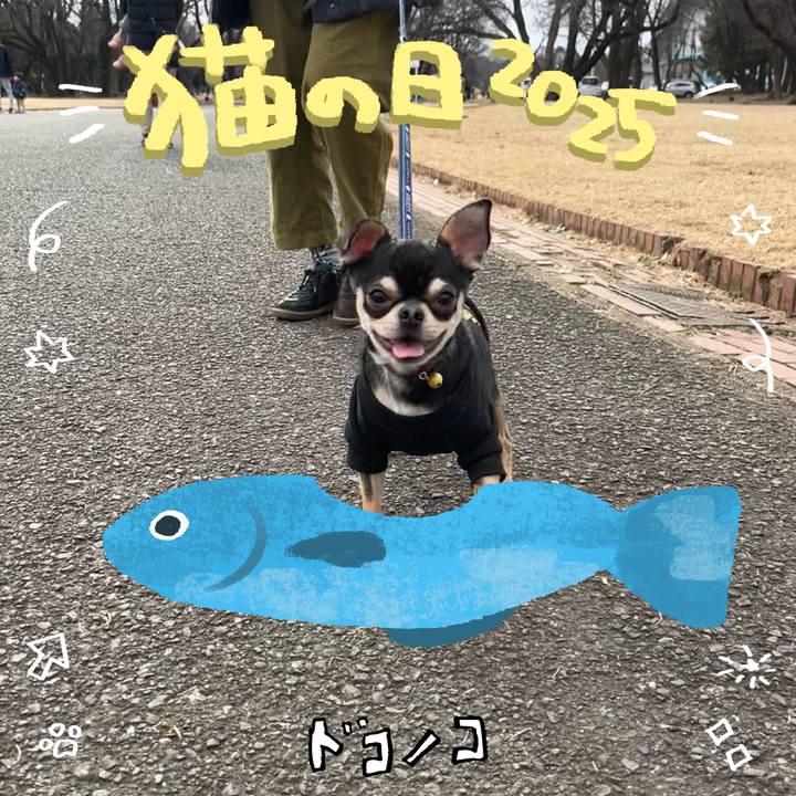 B8ece203 f96c 4bed acf3 0f248b3c08ba 1740432892191