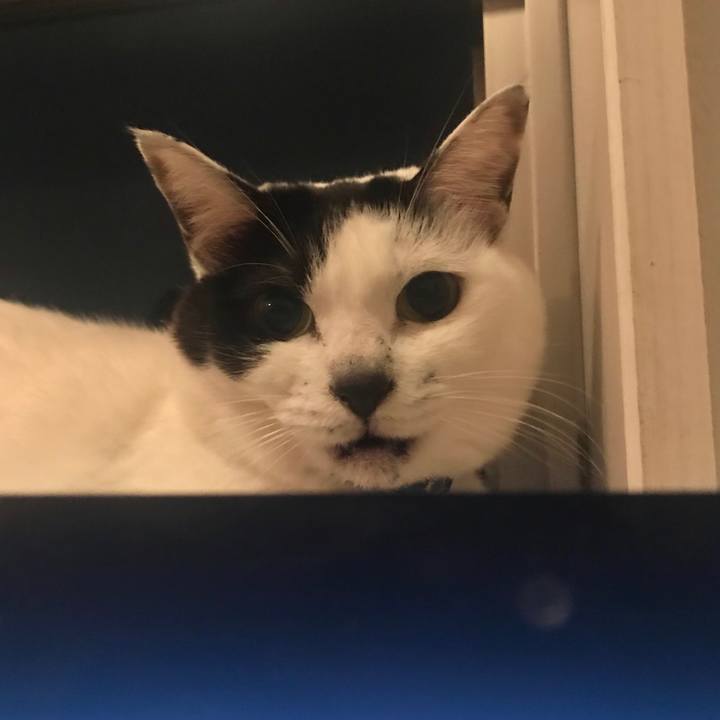 B8ece39f f778 474c 8b3a 6a10a0218b60 1541838305992