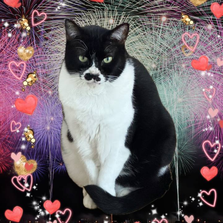 B8ed11d7 ad32 4afb bc5d 706a6068126a 1762734531199