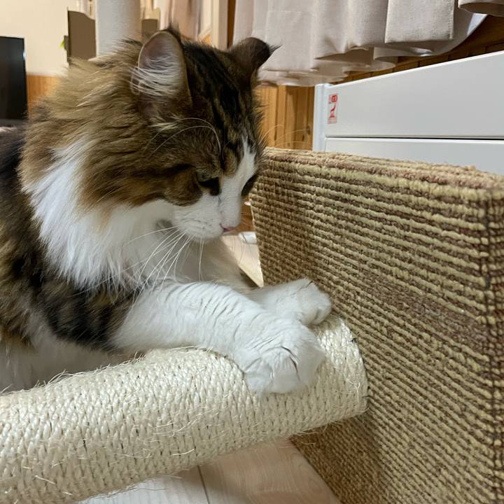 B8ed3b4a 1e4b 4b58 b527 663c9fee432e 1666002133507