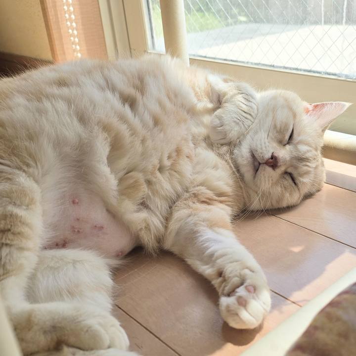 B8ee135d 2c6d 4cc9 99c6 3a5550b5bae2 1746998404392