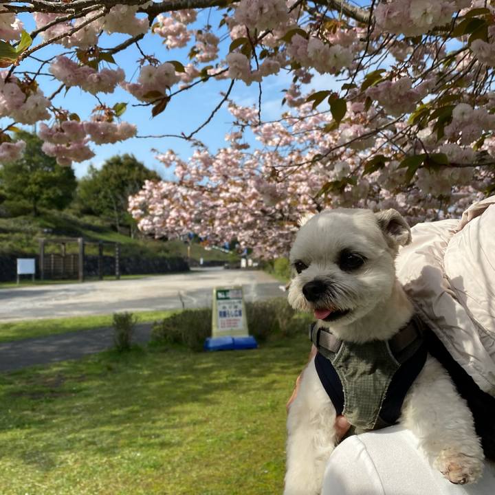 B8ee1819 0156 4ffc b61c 72793c0f5592 1650708711412