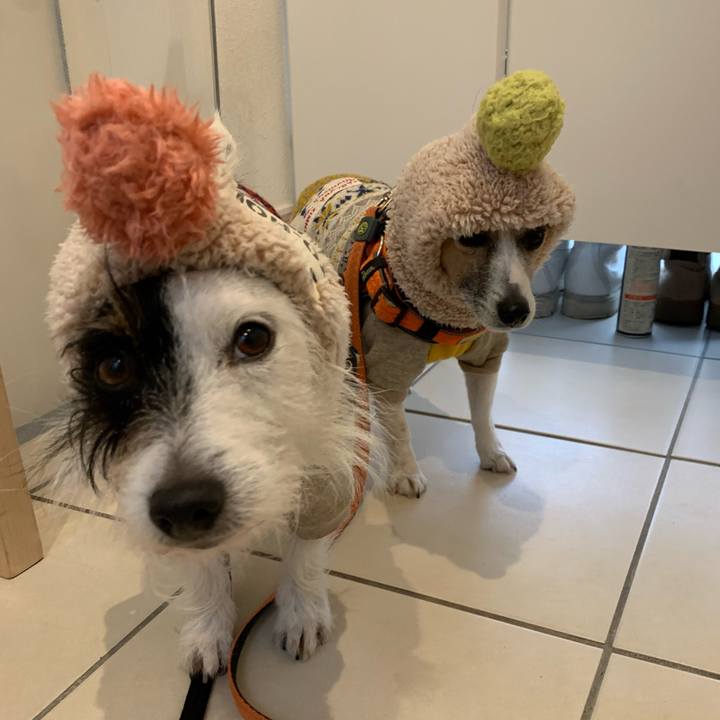 B8ee1db7 9db5 46f9 b923 99533c045aae 1580518126232