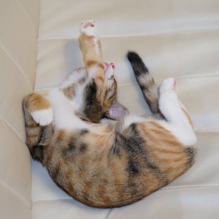 B8ee3800 4b2c 489b 934b 529aa4a7a002 1571131544435