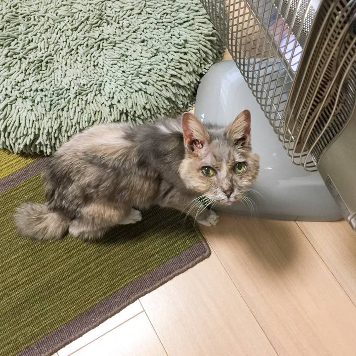 B8ee3c7b 48e8 455a bfeb a0b2390fa5cd 1553327421836