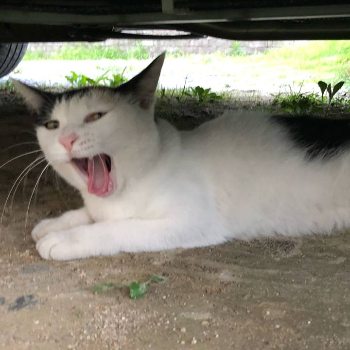 B8ee4ba8 28a5 4dc0 b777 24a8194d5310 1598695605757