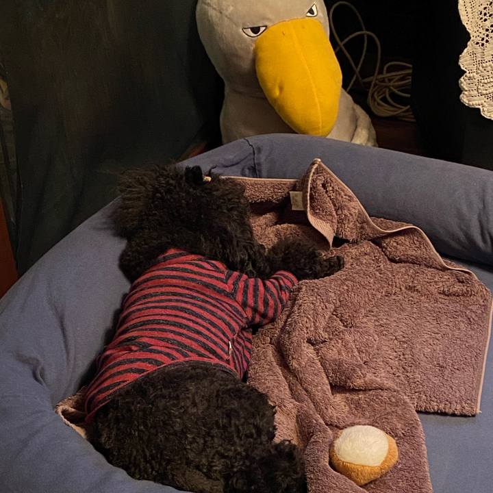 B8ee9c25 2936 4f64 90a9 fcf5213e46b6 1634810074549