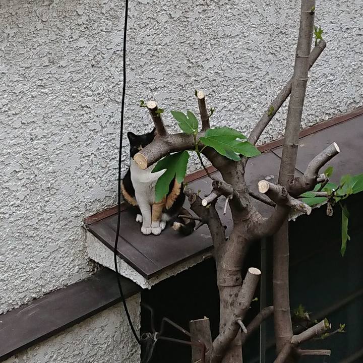 B8eea51c 39cd 4e9a 9e1e b5509a036a78 1556525739713