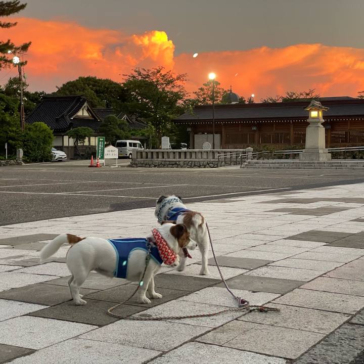 B8eeac00 a63b 4071 a17e 7c952dfbb10e 1692527150837