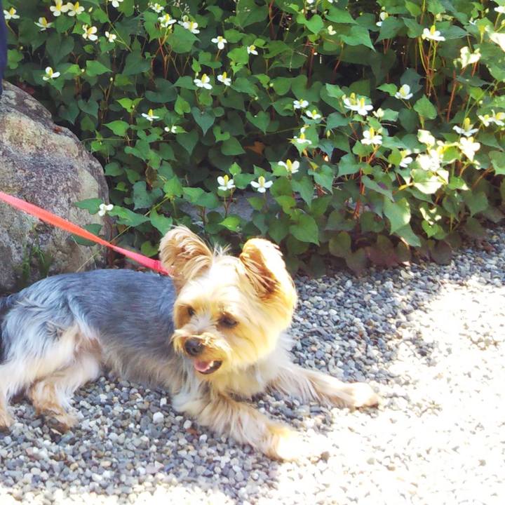 B8eebcd5 2669 4214 b0ed 229d54b98f5d 1621743084456