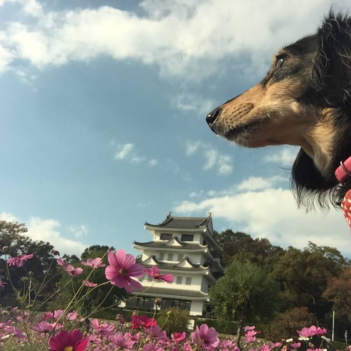 B8eebe7f fd52 4567 ab6d 7d2d459d13e7 1540796968610