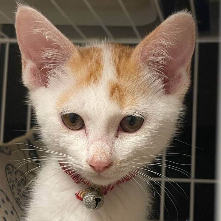 B8eed675 8b85 41a1 a9f5 2cf38962f27e 1752459521957