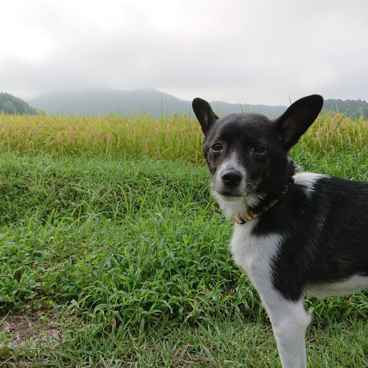 B8eeffee 2c01 4ad2 bde2 0d180aa7693e 1567294221168