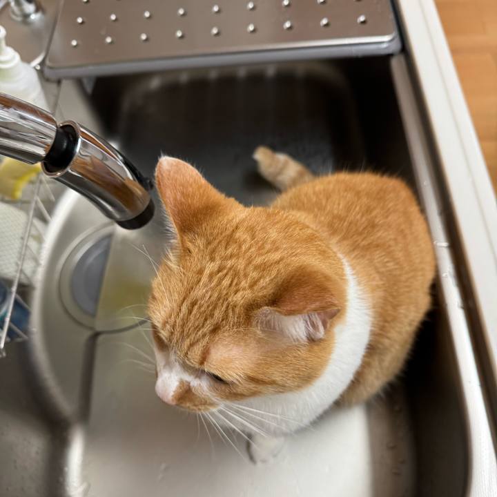 B8ef1b5d 8678 480a 88ff 36e7dc62e2f9 1766287090093