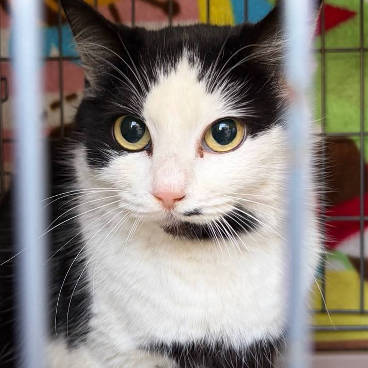 B8ef2509 79e5 4ed0 b0d2 9bf1c1439c23 1765958796833