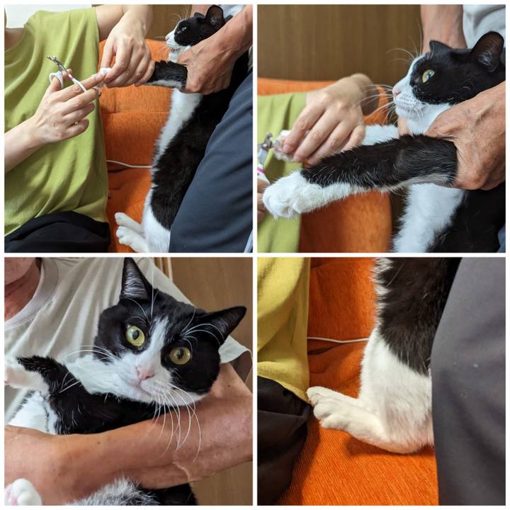 B8ef96c0 a77c 42c1 b2c2 e1aed1daaaba 1695525206307