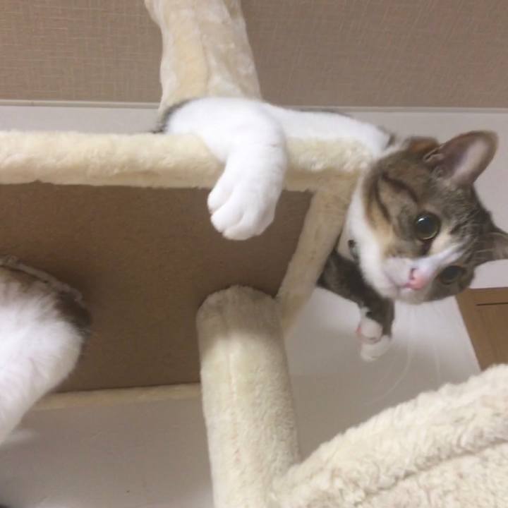 B8efbe51 f118 430d 84eb 0e25b7b66de0 1686788301316