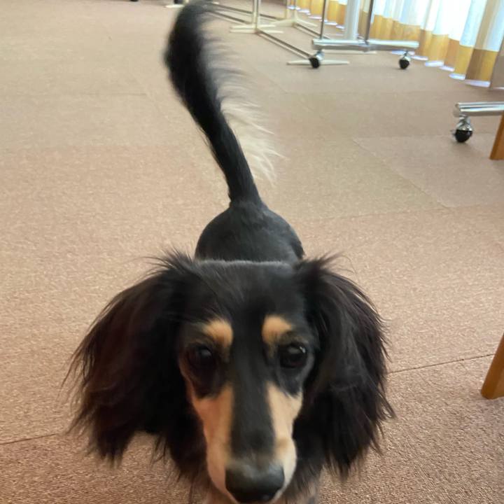 B8efe671 61fd 450b 9fc2 21922b3d1bd4 1724291169284