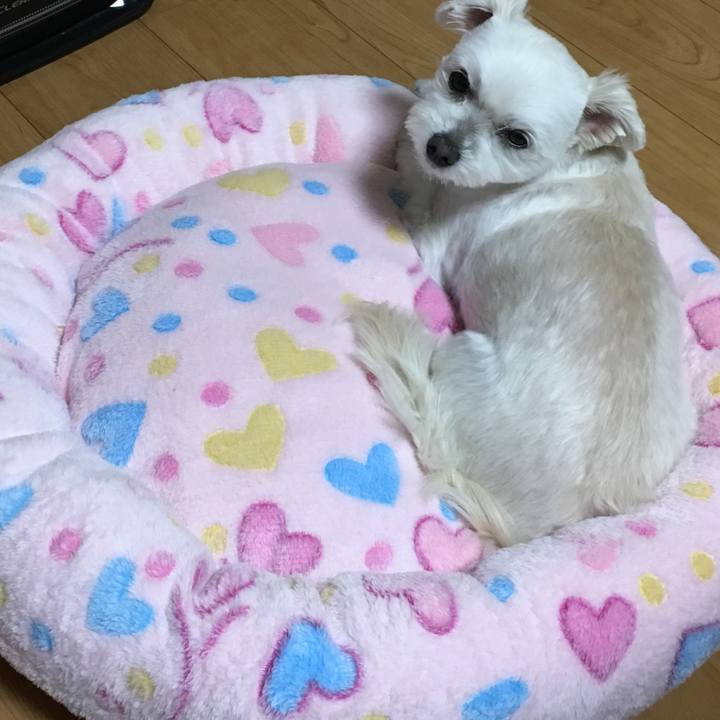 B8effb66 b318 4367 81fe 389b57a38f32 1511518212085