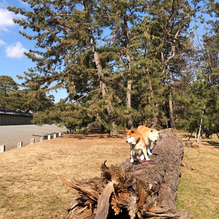 B8f05f86 249d 4bff a574 b92221d7eda0 1549086600210