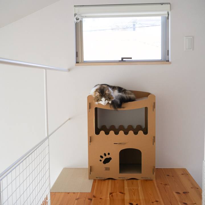 B8f0a2a4 13c6 48dd b33e aca10dd3de22 1582860977863