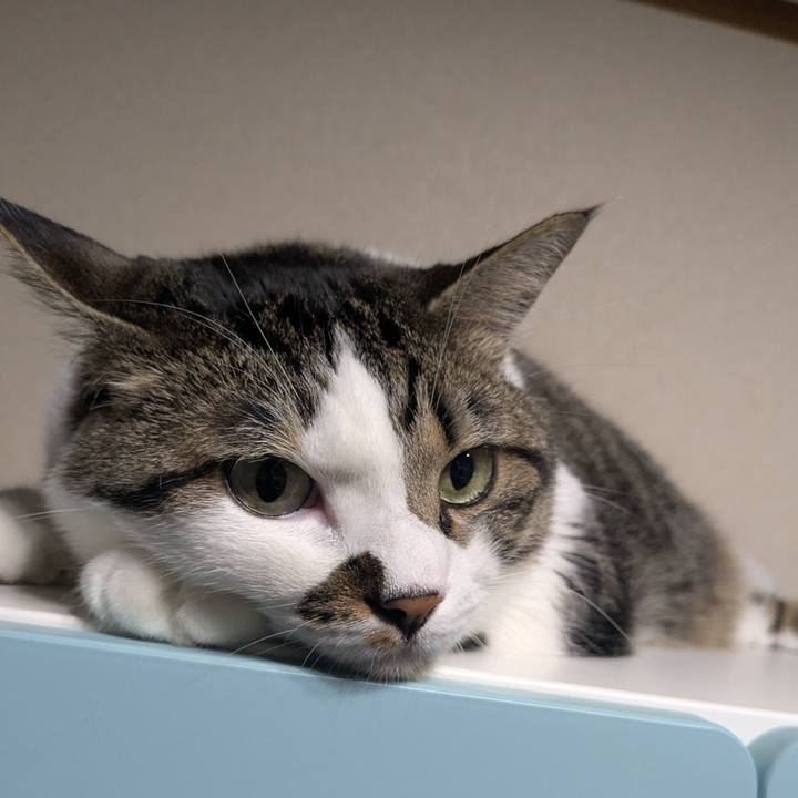 B8f0c4e9 0c7e 4084 add4 e02acb2f6ad6 1754091848100