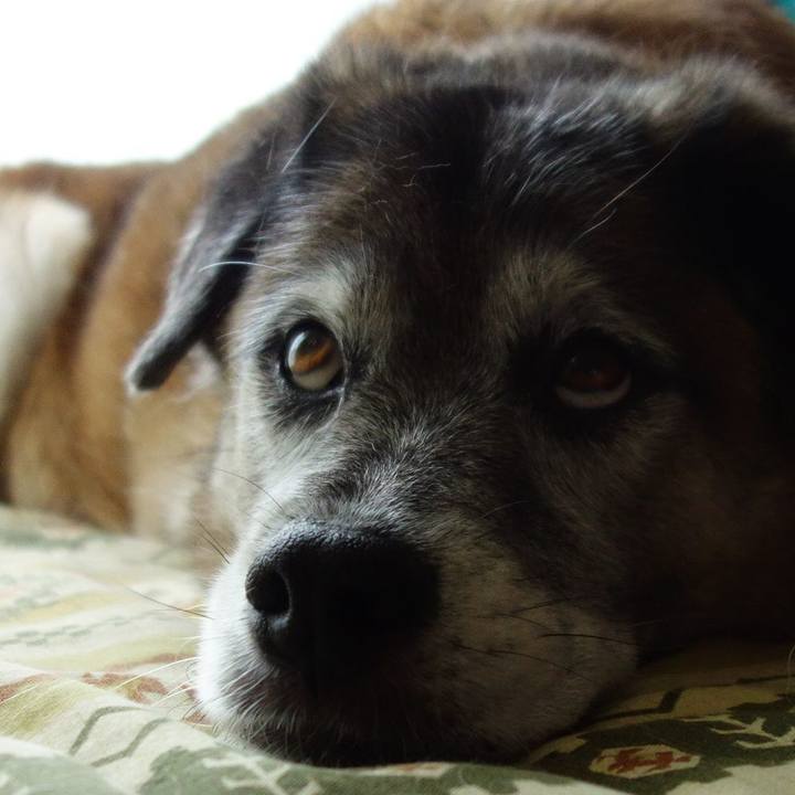 B8f0d4fa e0ac 49bc 8938 7bb5570bc0b3 1566643786142