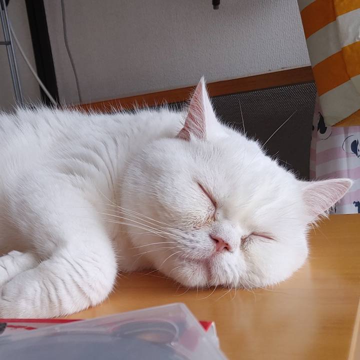 B8f0d5b2 c759 43b1 8f89 7eb777c6e17f 1627346722937