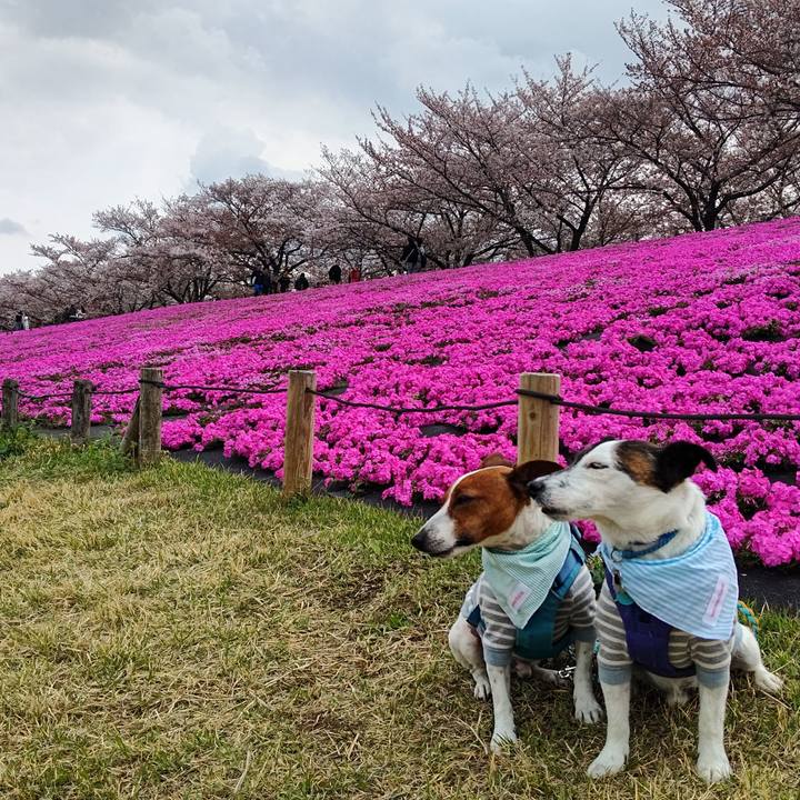 B8f0df5b 737d 4c40 a21c 1e8728cd932b 1680409862602