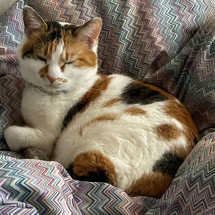 B8f1520f e6b8 412e b57b 5a0518580ada 1709523932793