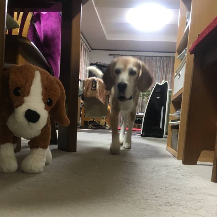 B8f1da52 027b 446c 9a0d f5f60f90a259 1511440821573