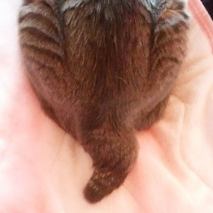 B8f1dfb6 b3b1 40c2 9b84 48bb510a8ae3 1584311030600