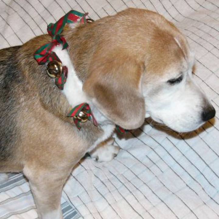 B8f1e6d8 ddfa 4bf1 bfb4 5ea52059d910 1647825397760