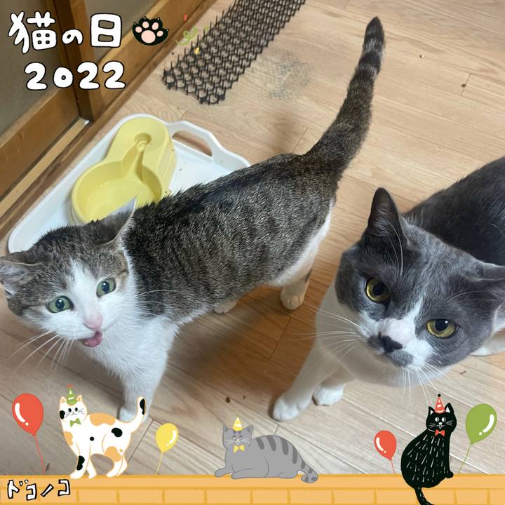 B8f1e9da 76e6 492b a454 379e6a0d29b6 1645524375942