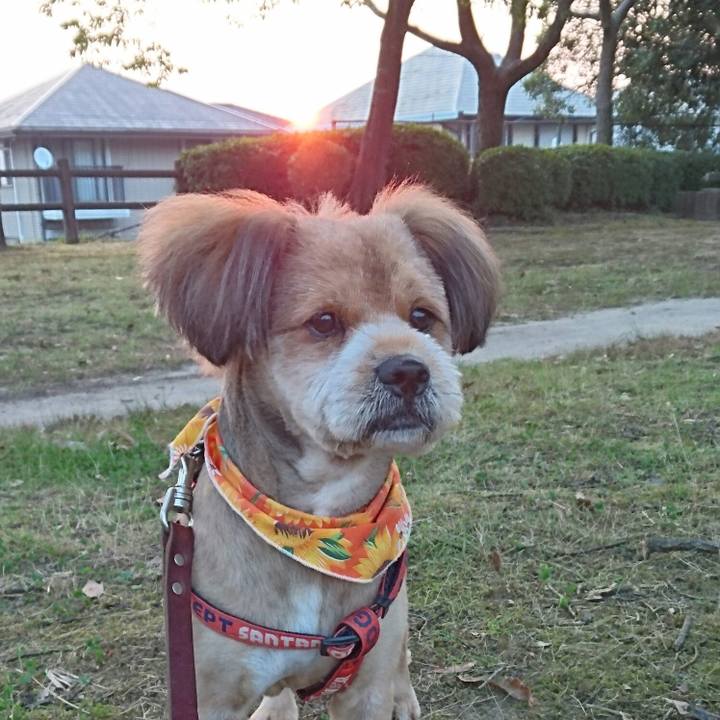 B8f1f055 ec75 46d7 95df eb8292291d82 1531777023879