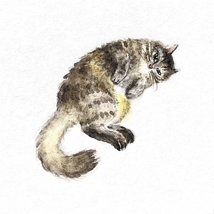 B8f1f1fa 8b9e 4ce1 9d0f 9f86af9d3826 1773447588771