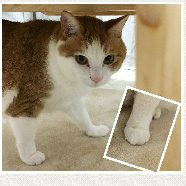 B8f27edc eaaa 4a6e 8caa 5d173c2f8976 1518318831595